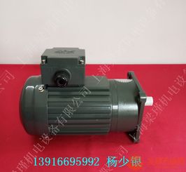 臺(tái)灣齒輪減速電機(jī)