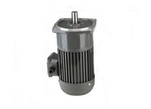 減速齒輪電機的組成和設計特點